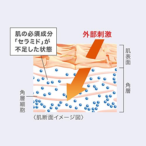 キュレル 潤浸保湿　フェイスクリーム	 5枚目