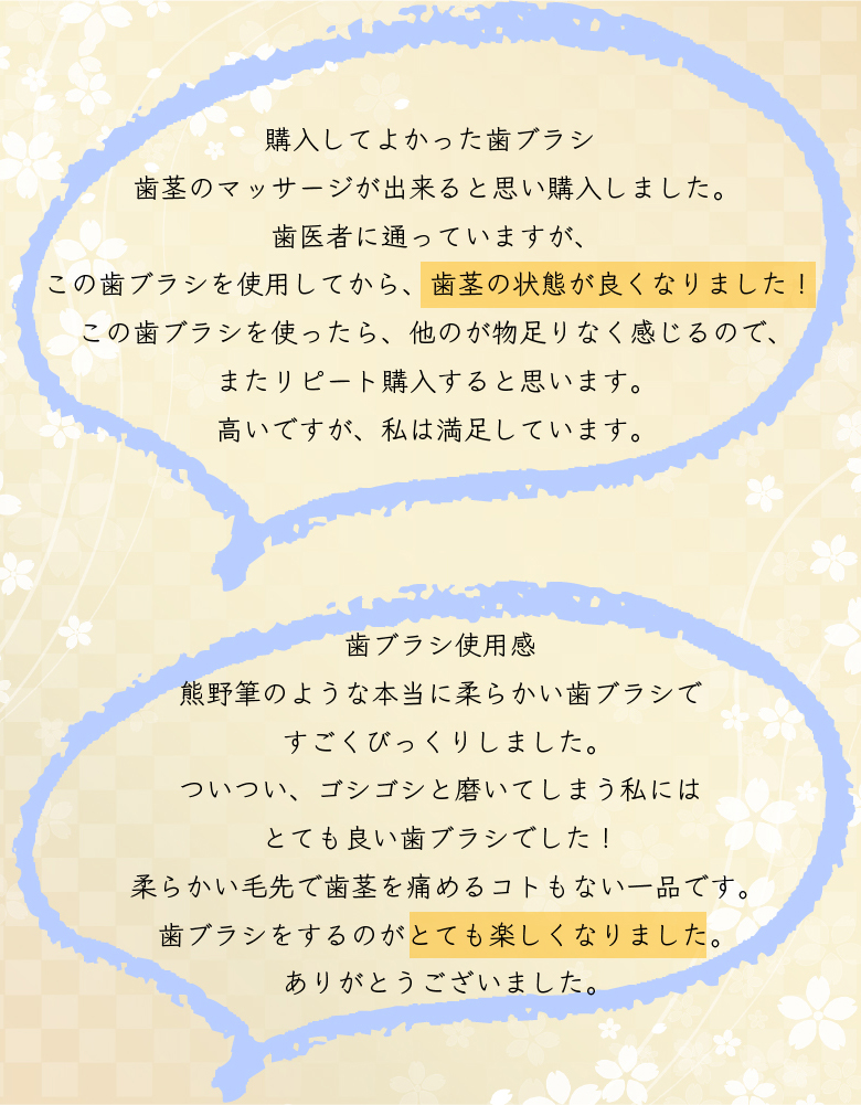 【楽天スーパーSALE】歯ブラシ やわらかめ 高級歯ブラシ 万毛 歯茎 マッサージ 歯周病ケア 歯ブラシ 除菌抗菌 熊野筆のような歯ブラシ 超極細毛ブラシ オーラルケア 日本製  プラチナナノ 歯ブラシ manmou 1本 14枚目