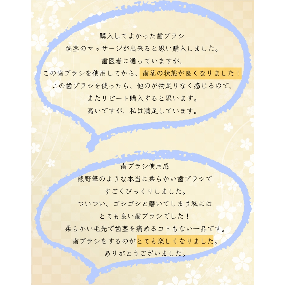 【楽天スーパーSALE】歯ブラシ やわらかめ 高級歯ブラシ 万毛 歯茎 マッサージ 歯周病ケア 歯ブラシ 除菌抗菌 熊野筆のような歯ブラシ 超極細毛ブラシ オーラルケア 日本製 プラチナナノ 歯ブラシ manmou 1本 14枚目
