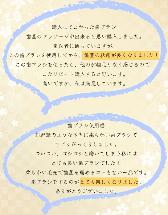 【楽天スーパーSALE】歯ブラシ やわらかめ 高級歯ブラシ 万毛 歯茎 マッサージ 歯周病ケア 歯ブラシ 除菌抗菌 熊野筆のような歯ブラシ 超極細毛ブラシ オーラルケア 日本製 プラチナナノ 歯ブラシ manmou 1本 14枚目