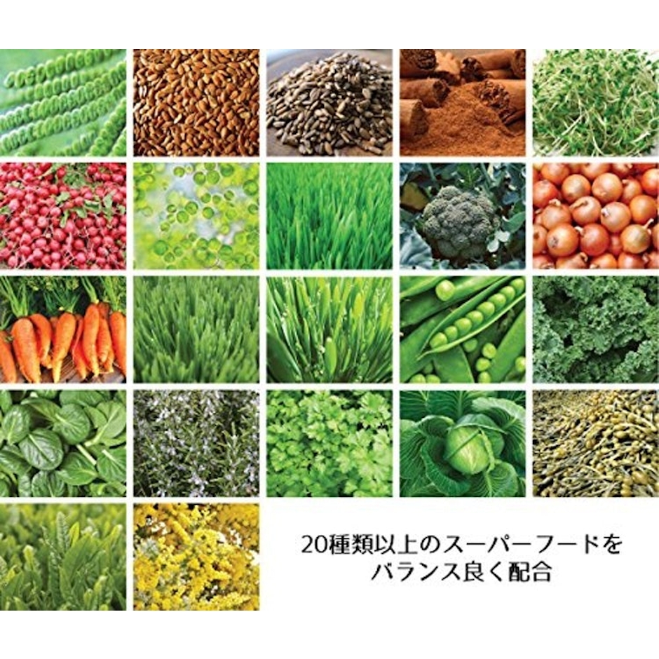 ドクターズチョイス プレミアムスーパーフード 無糖 30日分 2枚目