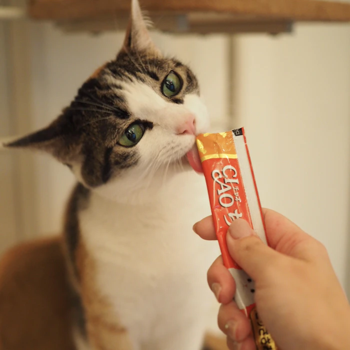 いなば食品 CIAOちゅ~る まぐろ海鮮ミックス味 2枚目