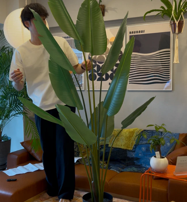 IKEA FEJKA フェイカ 人工観葉植物 ゴクラクチョウカ 1枚目