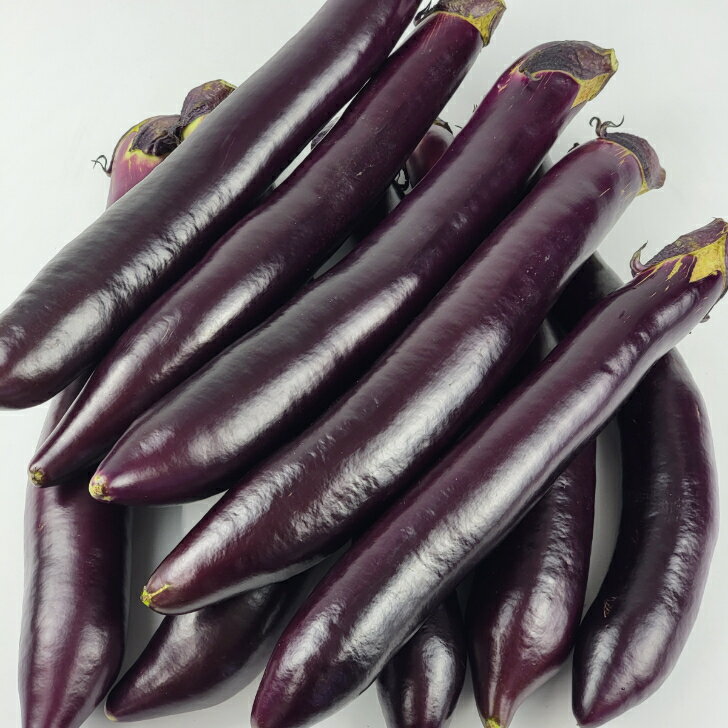 タキイ種苗株式会社 大長茄子 1枚目