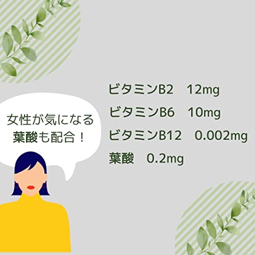 健康応援団 鉄 1ヵ月分 サプリメント 葉酸プラス 1袋 30粒 鉄分 Fe ビタミンB群 B2 B6 B12 5枚目