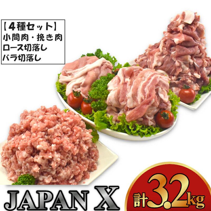 【ふるさと納税】豚肉 小分け 切り落し JAPAN X 豚肉バラエティセット  2枚目