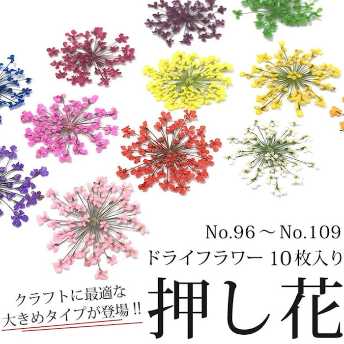 プチココ 押し花 ドライフラワー 96-109 2枚目