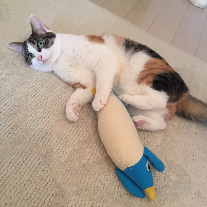 ペティオ けりぐるみ ペンギン 1枚目