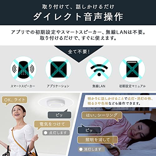 アイリスオーヤマ LEDシーリングライトCEK-A12DLPV 4枚目