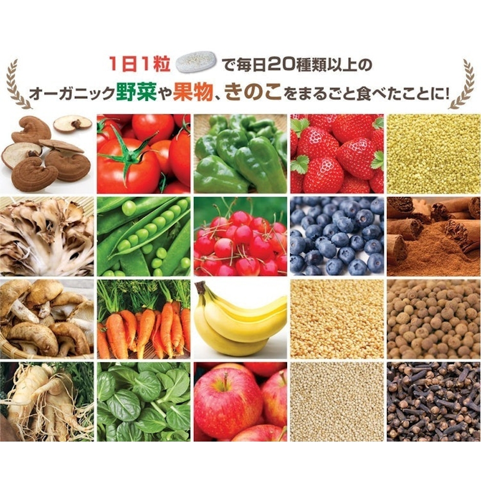 Doctor's Choice マルチビタミン&ミネラル 60日分 60粒入り 2枚目