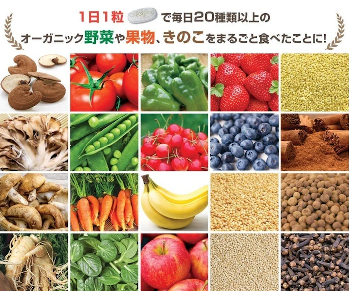 Doctor's Choice マルチビタミン&ミネラル 60日分 60粒入り 2枚目
