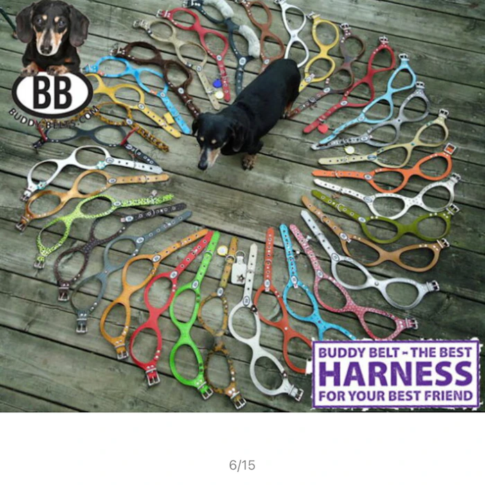 BUDDY BELTES バディーベルト 獣医師推奨 BBハーネス バディーベルト 3.5号 ペット 犬 レザー 本革 用 BUDDY BELT BUDDYBELT犬 犬用 ペット ドッグ バディベルト正規輸入代理店 正規店 4枚目