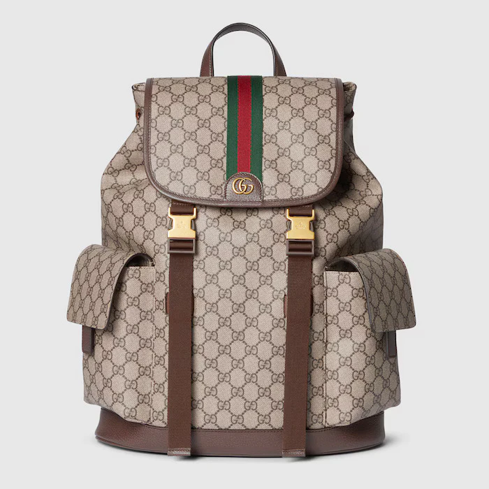 GUCCI 〔オフィディア〕ラージ バックパック 1枚目