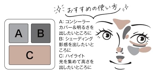 GALLZ 花道3Dパレット 01骨格引き立てグレージュ 6枚目
