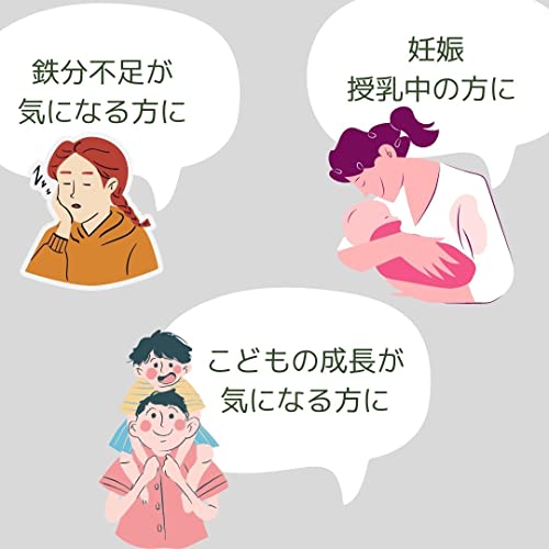 健康応援団 鉄 1ヵ月分 サプリメント 葉酸プラス 1袋 30粒 鉄分 Fe ビタミンB群 B2 B6 B12 6枚目