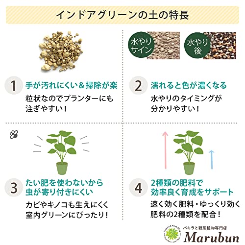 プロトリーフ BotaNice インドアグリーンの土 4枚目