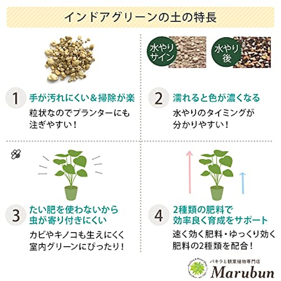 プロトリーフ BotaNice インドアグリーンの土 4枚目