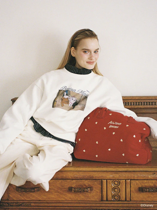ALLISON BROWN HOLIDAY CANVAS BAG 10枚目