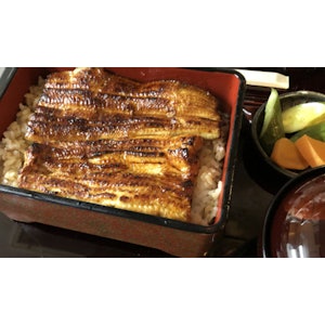 芳野屋 生蒸し鰻重 1枚目