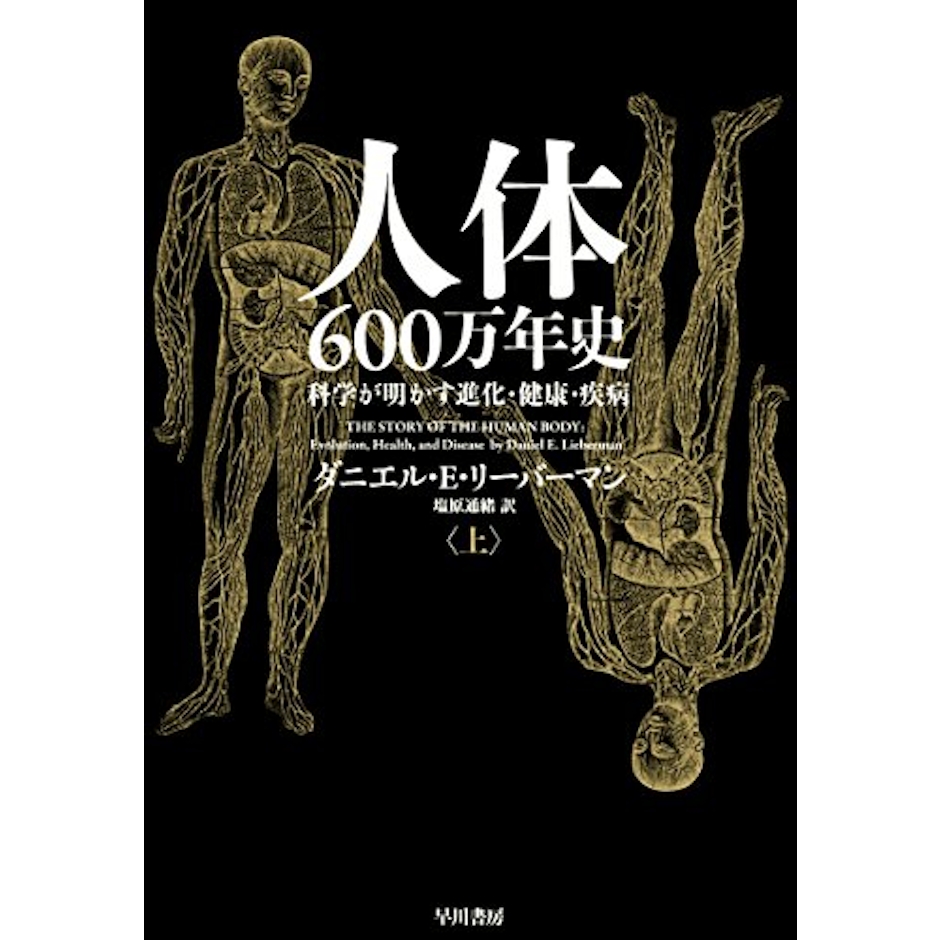 人体600万年史(上) │ 科学が明かす進化・健康・疾病 1枚目