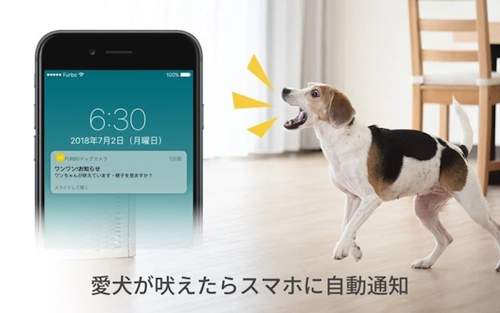 Tomofun Furbo ドッグカメラ 3枚目