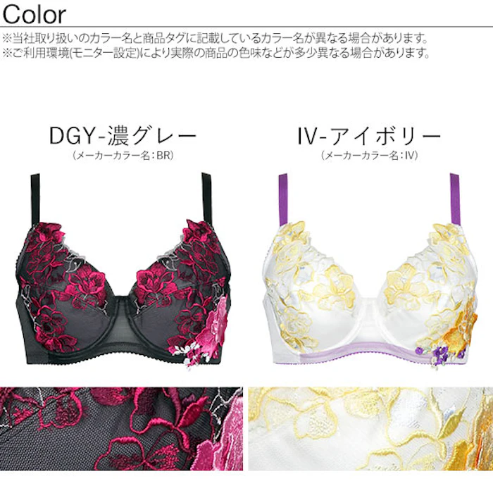 サルート フルカップ 40BTJ313DF 5枚目