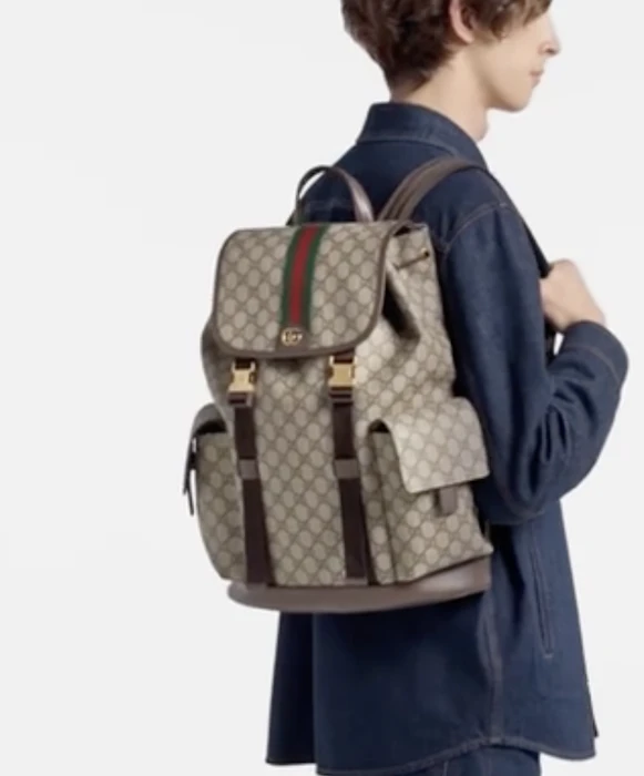 GUCCI 〔オフィディア〕ラージ バックパック 4枚目