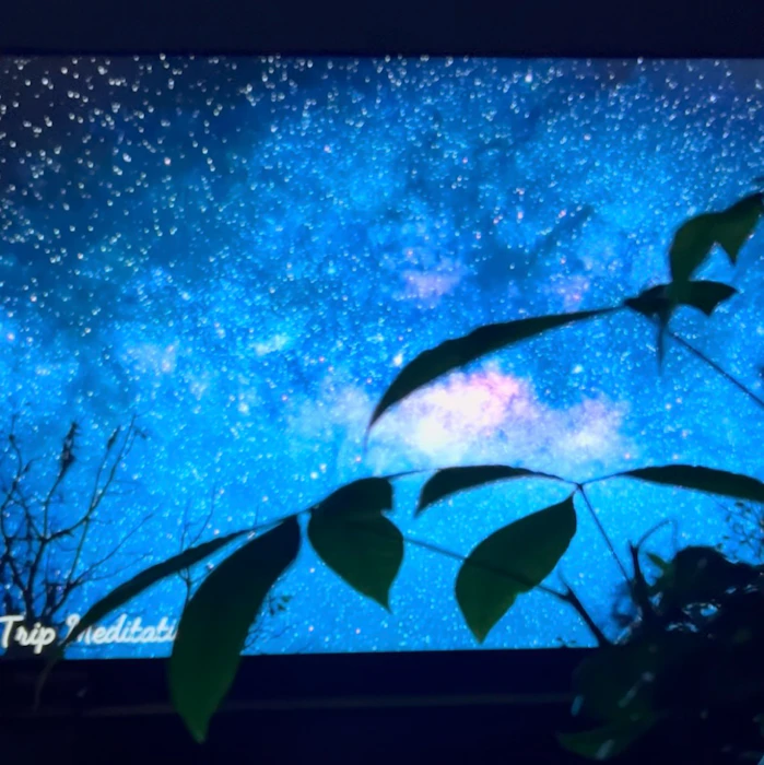 Hisense 65E50R 65V型 4K液晶テレビ 3枚目