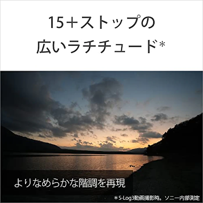 ソニー VLOGCAM ZV-E1 14枚目