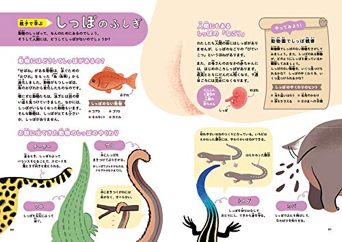 西東社 ぐんぐん頭のよい子に育つよみきかせ　かがくのお話25 [ 国立科学博物館 ] 5枚目