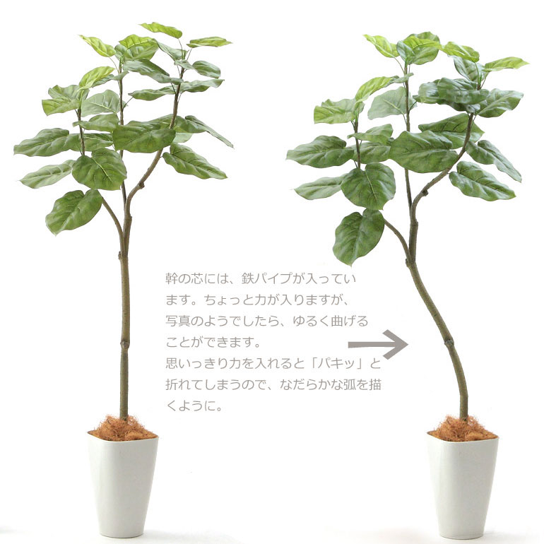 zoukacom フェイクグリーン 観葉植物 フェイク 人工観葉植物 大型 光触媒 造花 インテリア リアル おしゃれ お祝い 樹 木 室内 フィカス ウンベラータ 人気 空気清浄 玄関 リビング オフィス 部屋 シンプル 抗菌 消臭 観葉樹 150cn 【日付指定・ギフト不可】No92661 3枚目