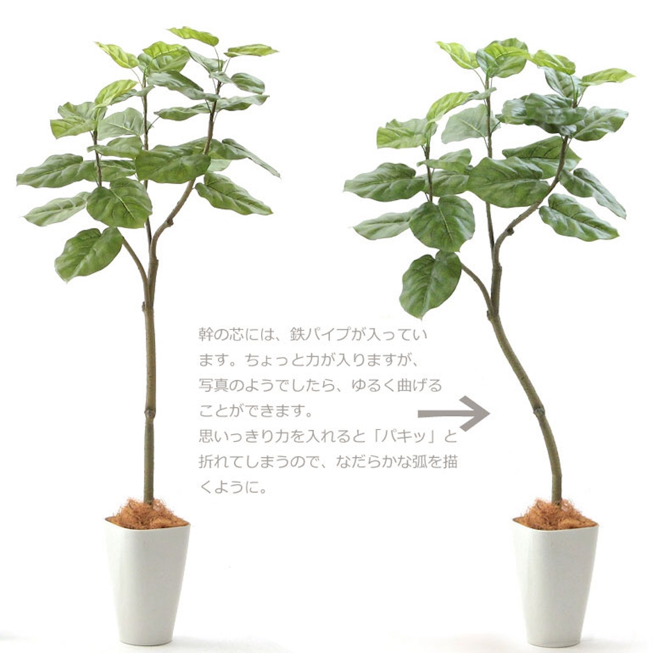 zoukacom フェイクグリーン 観葉植物 フェイク 人工観葉植物 大型 光触媒 造花 インテリア リアル おしゃれ お祝い 樹 木 室内 フィカス ウンベラータ 人気 空気清浄 玄関 リビング オフィス 部屋 シンプル 抗菌 消臭 観葉樹 150cn 【日付指定・ギフト不可】No92661 3枚目