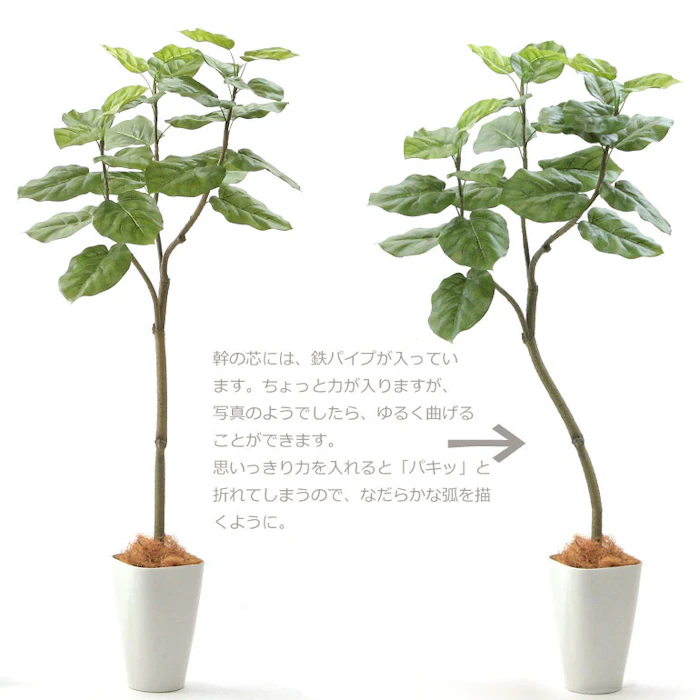 zoukacom フェイクグリーン 観葉植物 フェイク 人工観葉植物 大型 光触媒 造花 インテリア リアル おしゃれ お祝い 樹 木 室内 フィカス ウンベラータ 人気 空気清浄 玄関 リビング オフィス 部屋 シンプル 抗菌 消臭 観葉樹 150cn 【日付指定・ギフト不可】No92661 3枚目