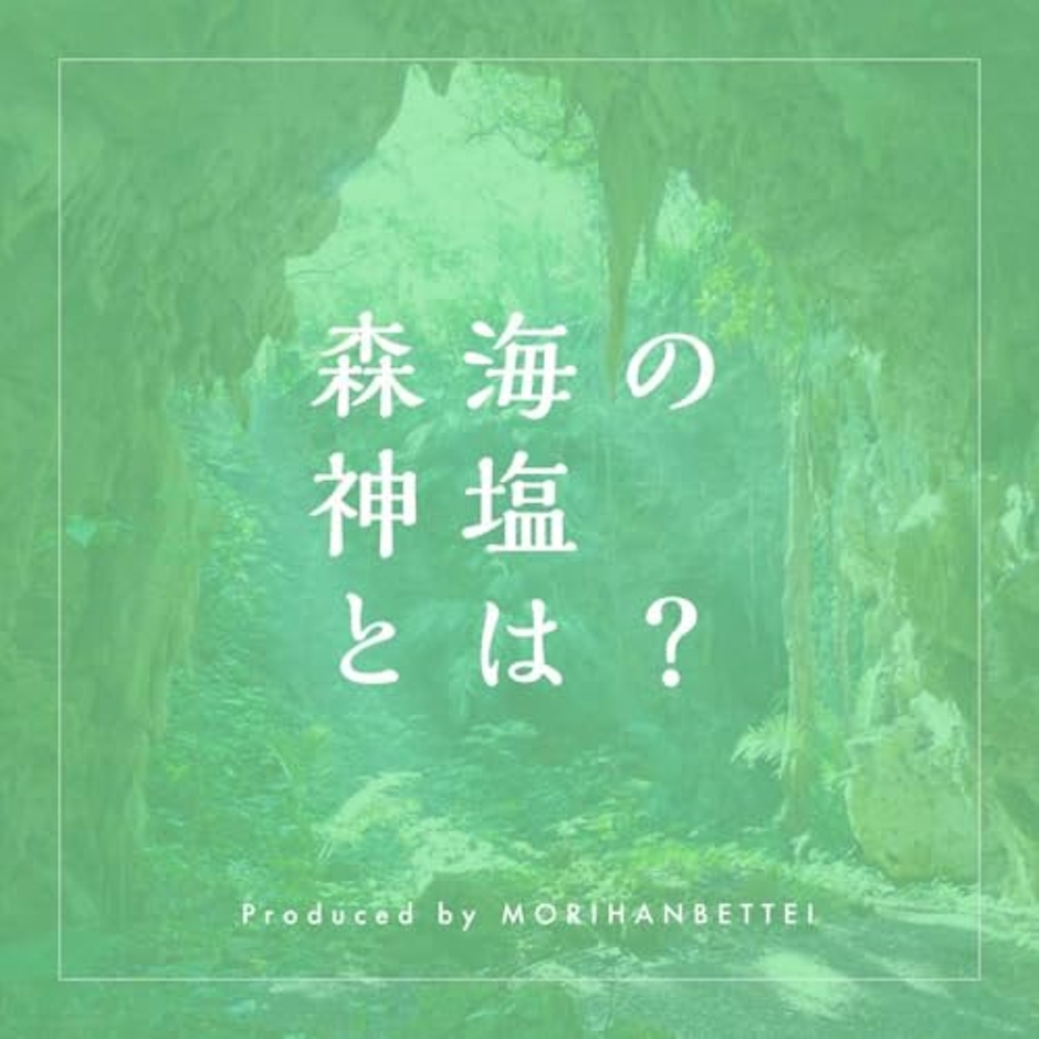 森藩別邸 森海の神塩 2枚目
