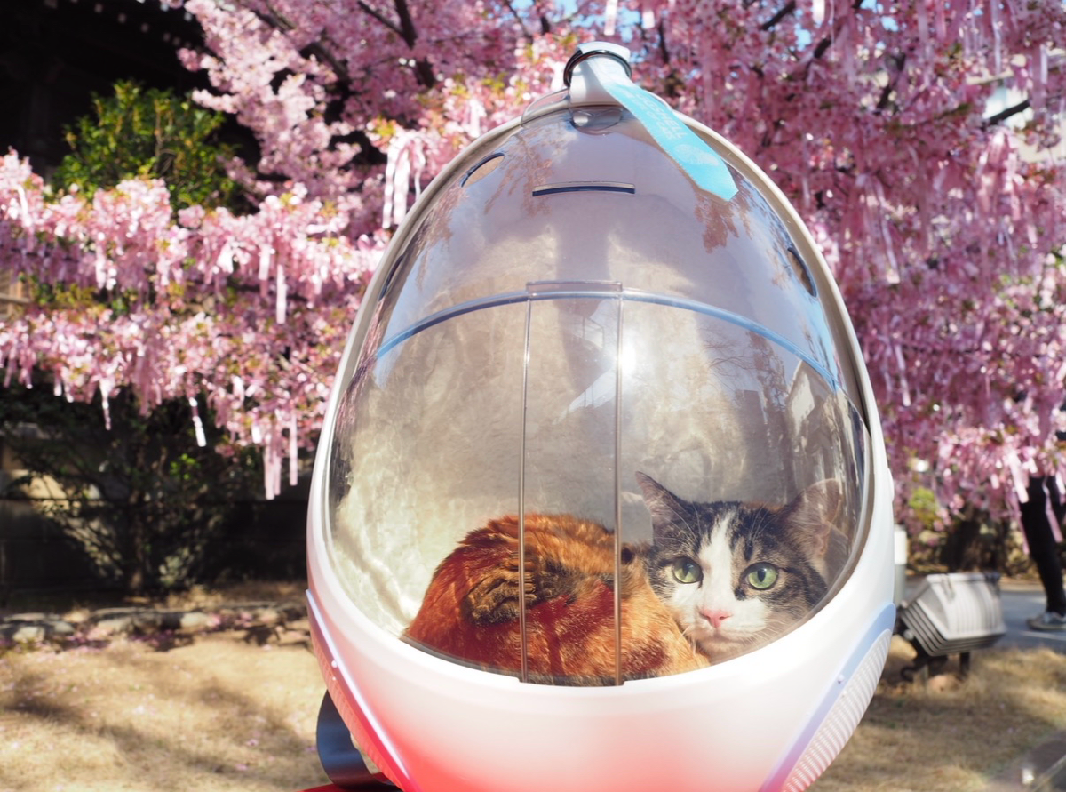 カッキガッキ 宇宙船カプセルリュック 2枚目