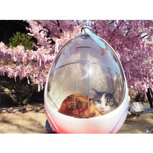 カッキガッキ 宇宙船カプセルリュック 2枚目