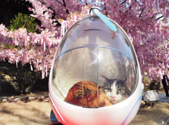 カッキガッキ 宇宙船カプセルリュック 2枚目