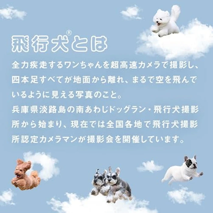 飛行犬×Wpc. 空飛ぶワンブレラ 4枚目