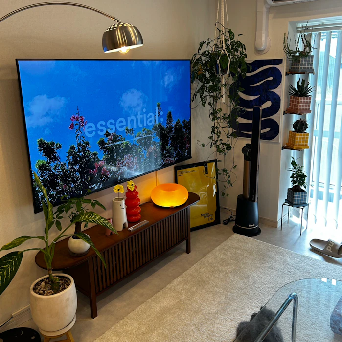 Hisense 65E50R 65V型 4K液晶テレビ 2枚目