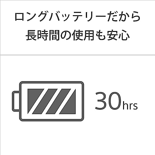 ソニー  ポータブルシアターシステム HT-AX7 5枚目