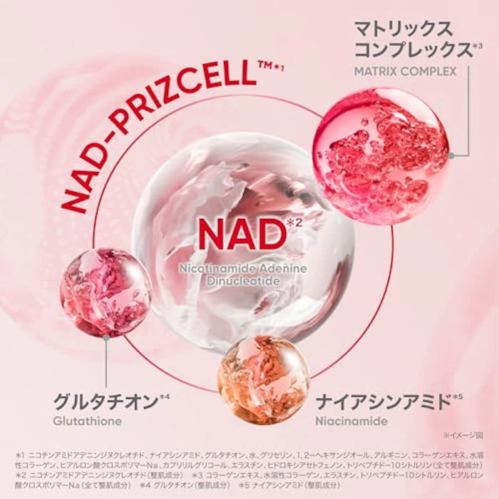 BIOHEAL BOH NADプリズセル™ グロウブーストクリーム 9枚目