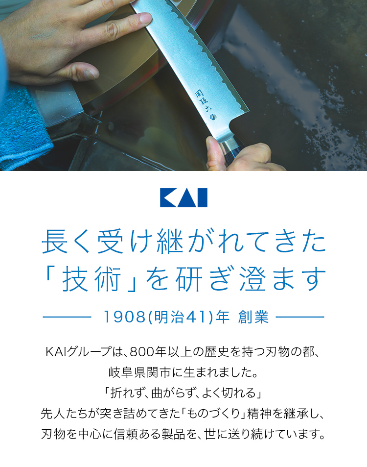 【スーパーSALE期間中10%OFF＋クーポン】 【メール便】[M便 1/1] 【口内ケア】ケアレッシュ 舌クリーナー（黒） KQ0401 ギフト 贈り物 プレゼント 7枚目