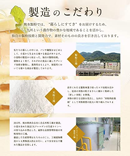 熊本製粉 九州 ミズホチカラ パン用 米粉 3枚目