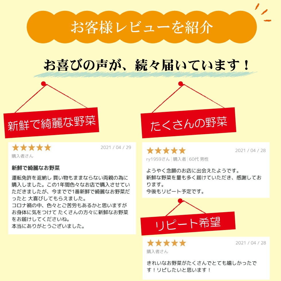 野菜セット 野菜 詰め合わせ 3枚目
