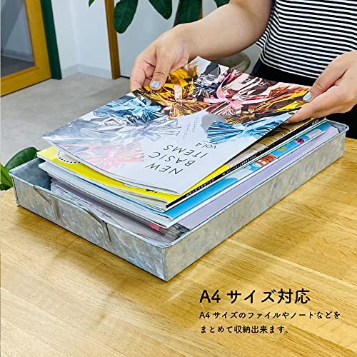 ブリキトレイ-M (1個) ZYU-BTM 5枚目