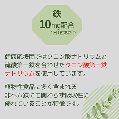健康応援団 鉄 1ヵ月分 サプリメント 葉酸プラス 1袋 30粒 鉄分 Fe ビタミンB群 B2 B6 B12 4枚目