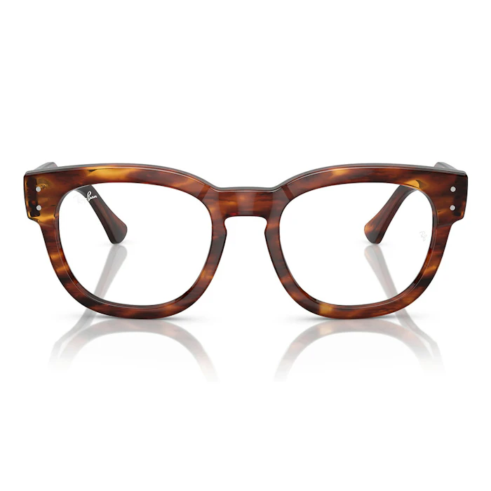 Ray-Ban MEGA HAWKEYE RX0298 2144 3枚目