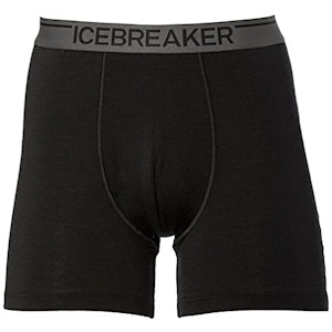 アイスブレーカー アイスブレーカー ボクサーパンツ メンズ アナトミカ ボクサー 1枚目