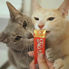 いなば食品 CIAOちゅ~る まぐろ海鮮ミックス味 1枚目