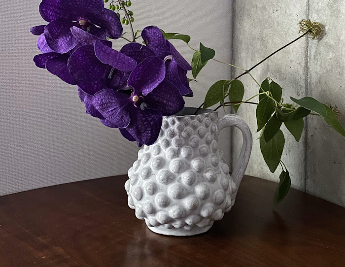 Astier de Villatte Adelaide ピッチャー 1枚目